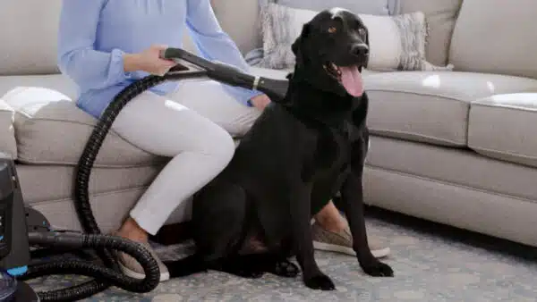 Pet Tool