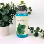 Eucalyptus
