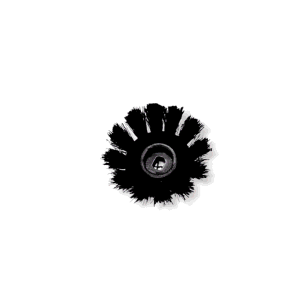 Edge brush